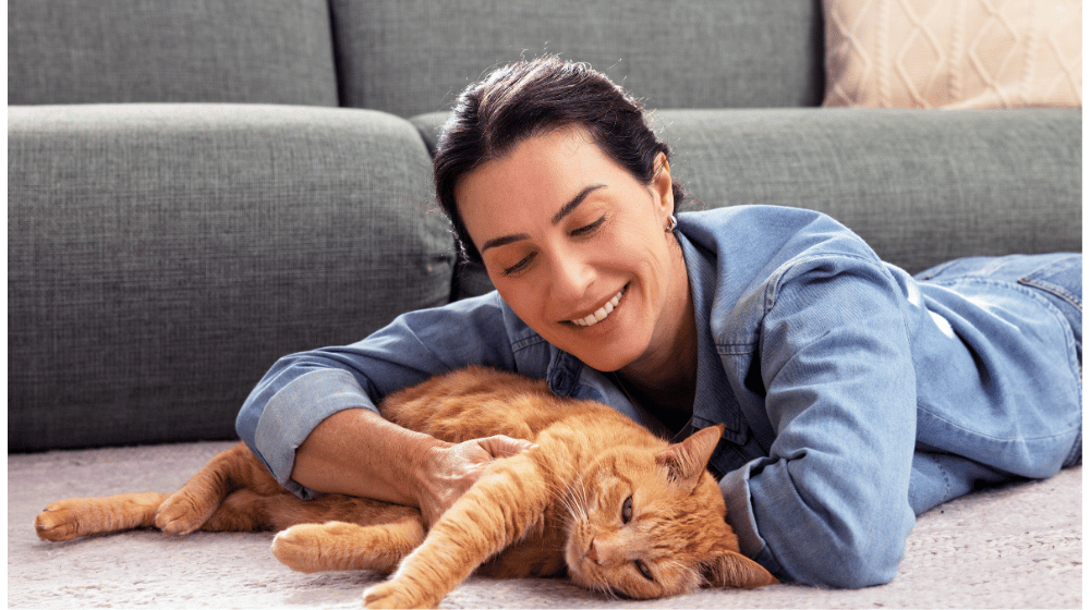 L&rsquo;importanza della protezione del gatto casalingo